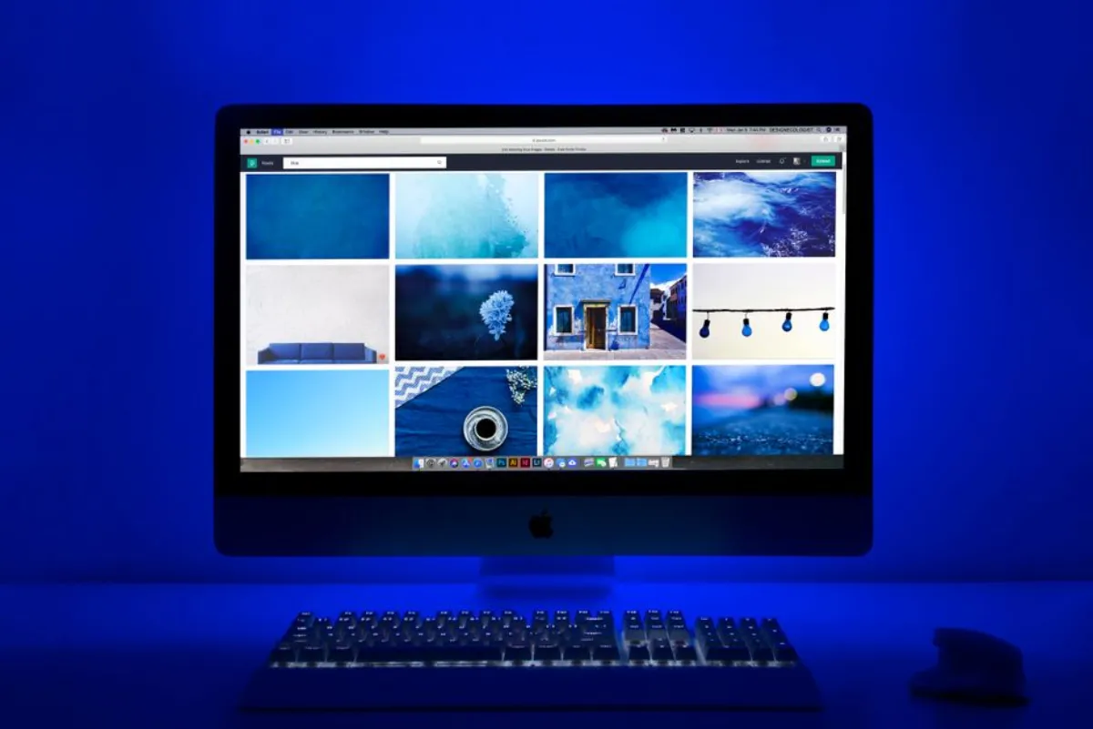 image search